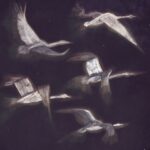 Digital illustration of stylized flying white birds against a dark sky.