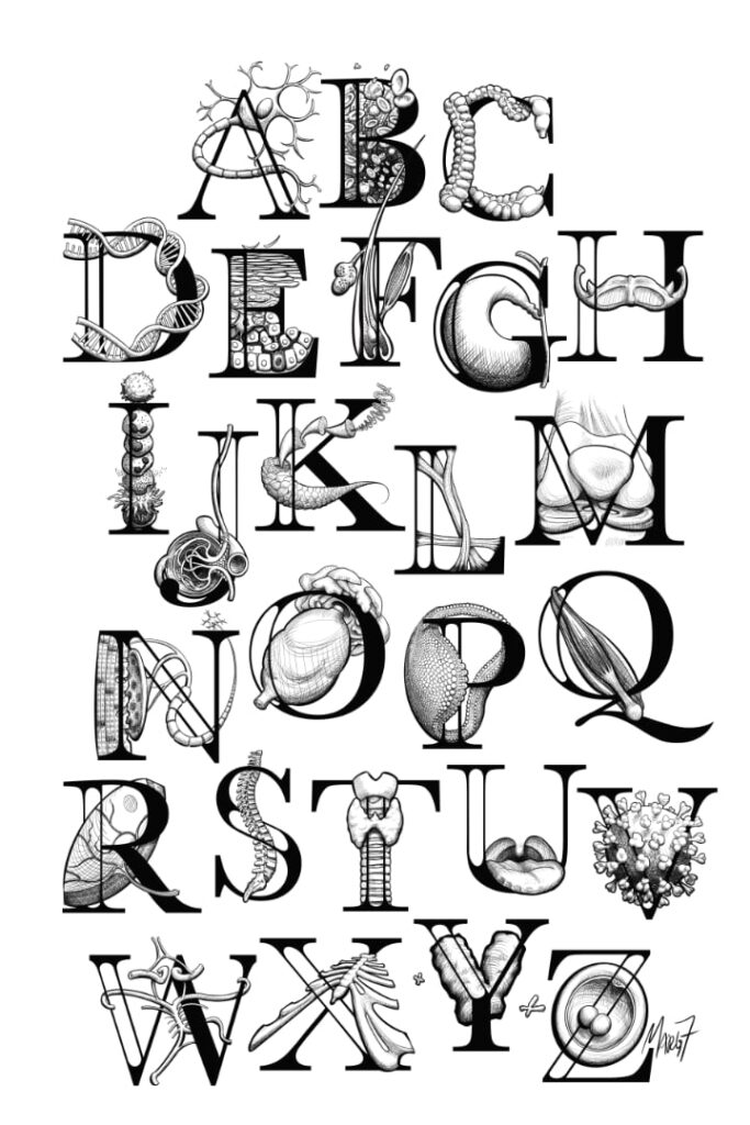 Pen and ink drawings of the letters A through Z decorated with various biological forms.
