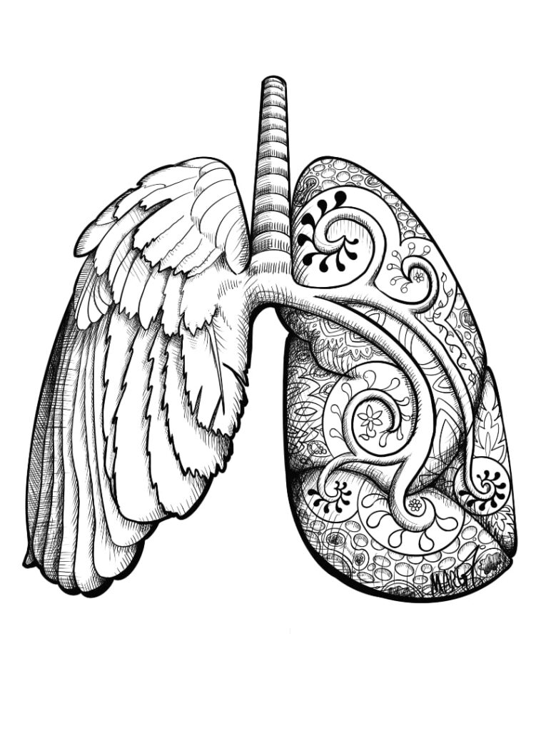 Pen and ink drawing of a set of lungs. The one on the left is a bird's wing and the one on the right is patterned in abstract swirls.